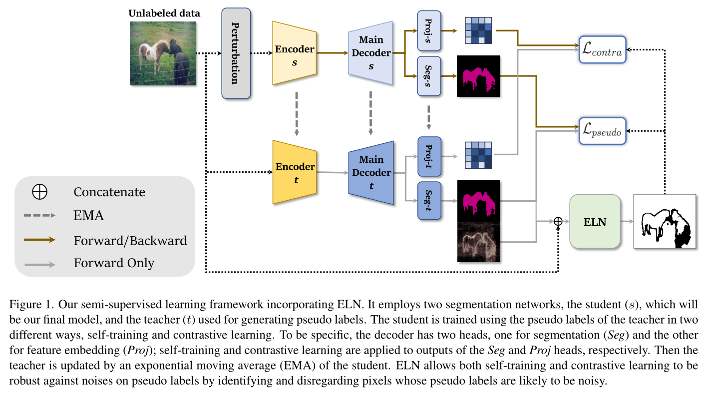 我们的半监督学习框架结合了ELN。它采用了两个分割网络，一个是学生（s），这将是我们的最终模型，另一个是用于生成伪标签的教师（t）。学生以两种不同的方式使用教师的伪标签进行训练，即自我训练和对比学习。具体来说，解码器有两个头，一个用于分割（Seg），另一个用于特征嵌入（Proj）；自我训练和对比学习分别应用于Seg和Proj头的输出。然后通过学生的指数移动平均数（EMA）来更新教师。ELN允许自我训练和对比学习通过识别和忽略那些伪标签可能有噪声的像素，从而对伪标签的噪声具有鲁棒性。