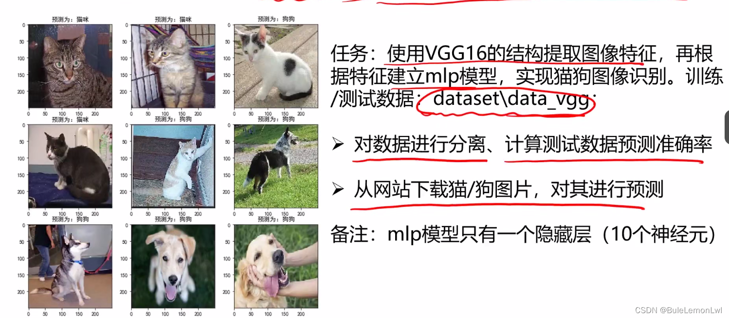 实战（二）：基于VGG16、结合mlp实现猫狗识别_基于vgg16、结合mlp实现猫狗识别图像实战summary:-CSDN博客