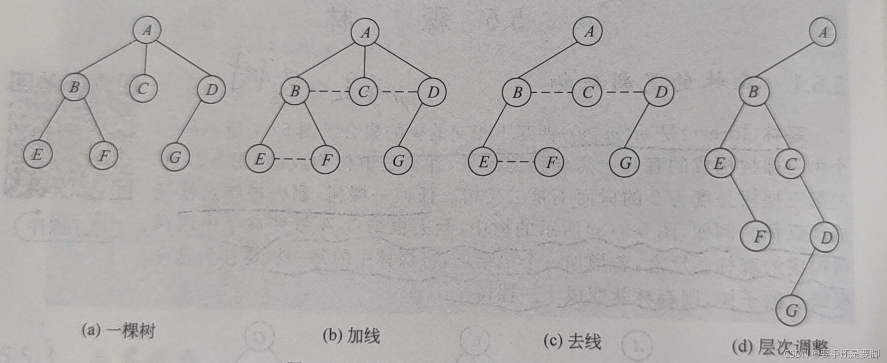 树转换成二叉树过程