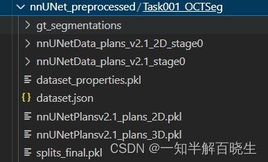 nnUNet ubuntu环境配置用2D图像训练