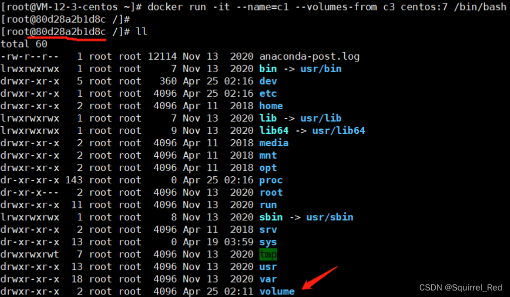 配置Docker镜像加速器-Docker命令-Docker 容器的数据卷