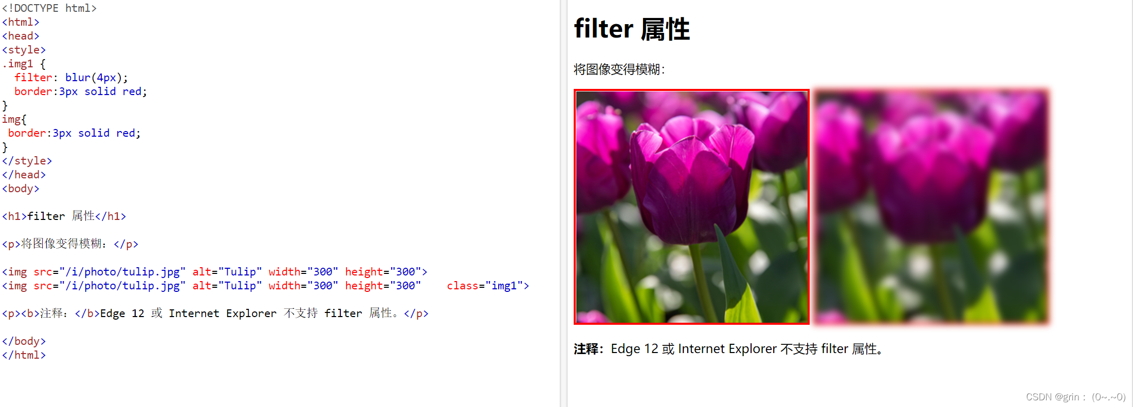CSS中backdropfilter与fliter属性_backdropfilter 边缘CSDN博客