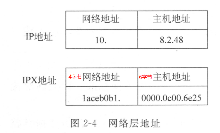 网络层地址