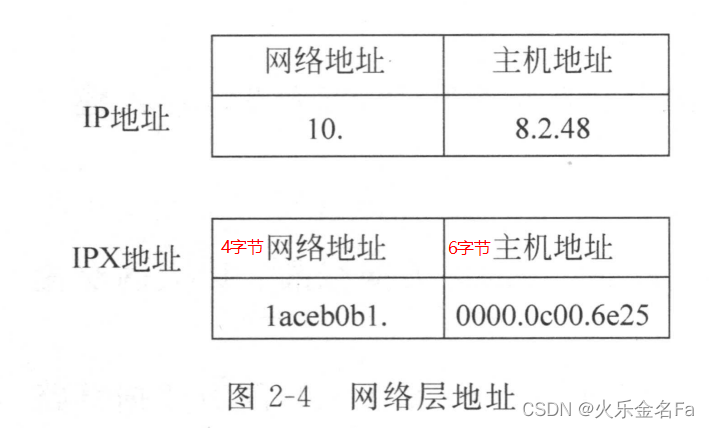 网络层地址