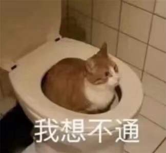 watermark,type_d3F5LXplbmhlaQ,shadow_50,text_Q1NETkDnqbrmsJTnuqLosYbljIU,size_10,color_FFFFFF,t_70,g_se,x_16