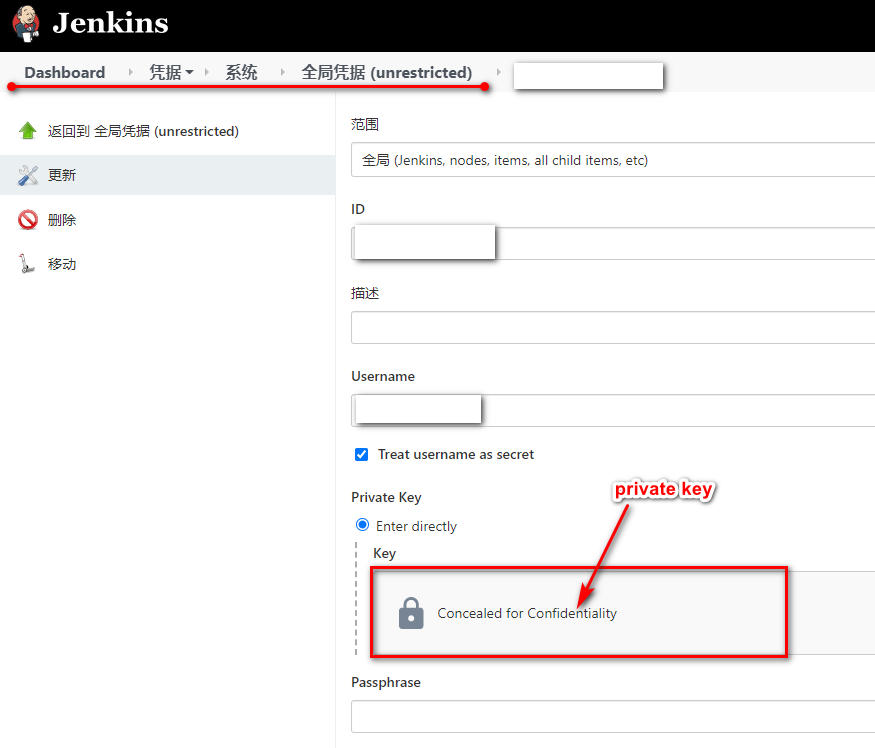 Jenkins ssl certificate problem self signed certificate programmer