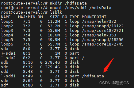 Linux将新硬盘挂载到指定目录