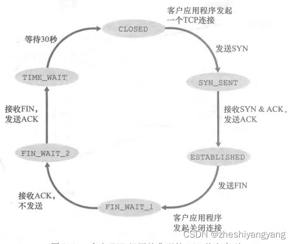 计算机网络-TCP协议