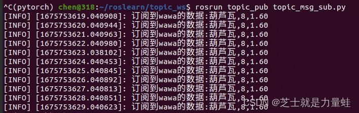 rosrun 执行python文件显示成功（Success）但是不输出数据