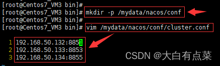 3、先创建目录 mkdir -p /mydata/nacos/conf ，再新建 cluster.conf 并填入Nacos Server 集群的服务器IP和端口号