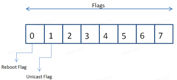 SOME/IP SD flagS字段