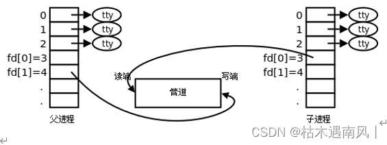 day11 有名管道和无名管道