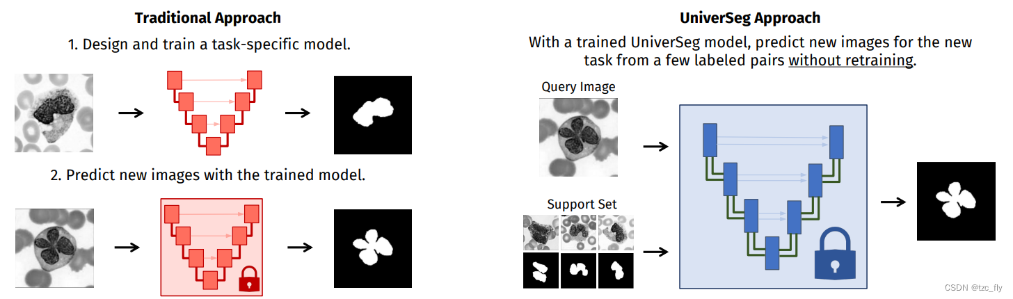 fig2