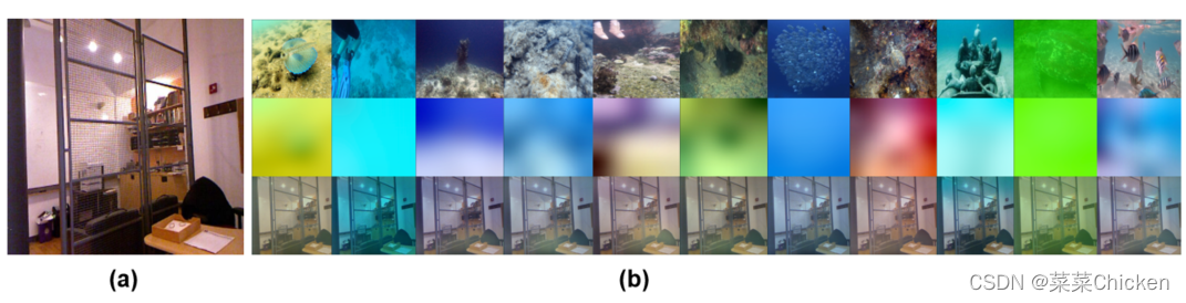 (a) Clean Image (b)第一行为水下图像，第二行为水下图像对应的光场图，第三行为对应的渲染结果。