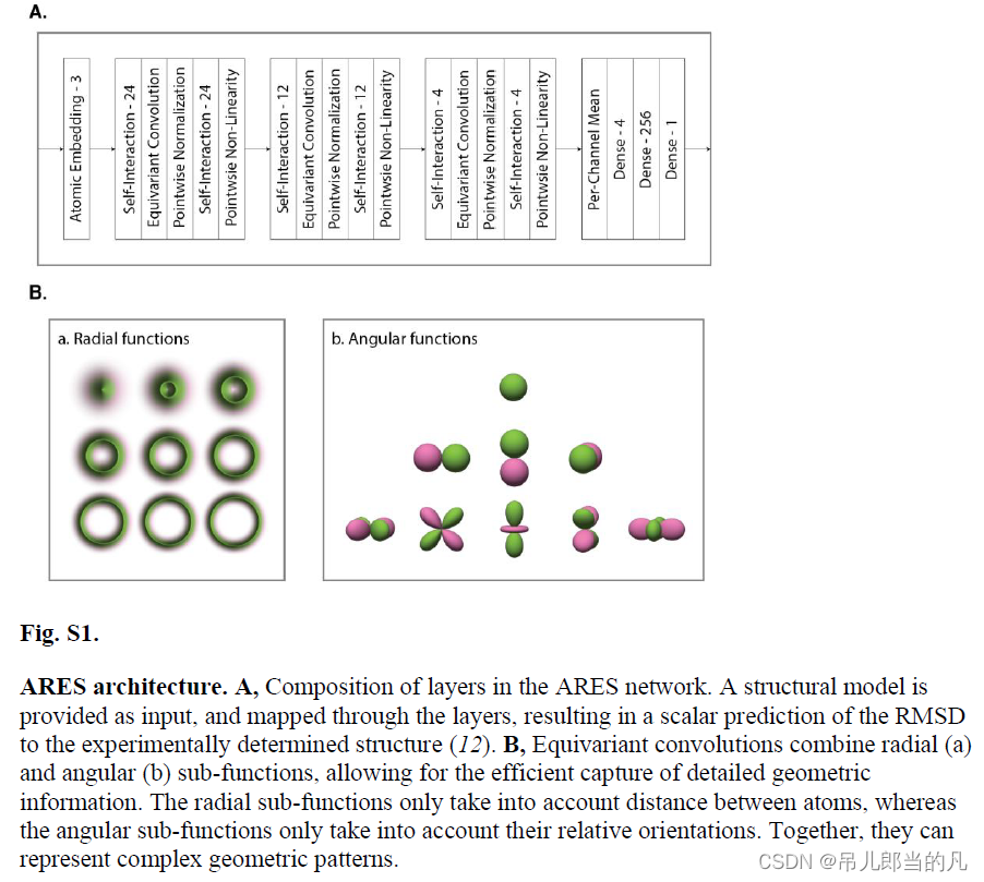 ARES( Atomic Rotationally Equivariant Scorer )