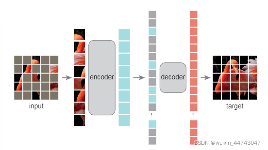 将图片中的小部分patch丢进encoder中