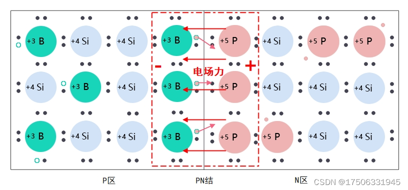PN结和三极管