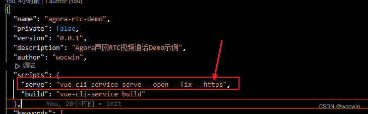 vue项目Agora声网实现一对一视频聊天Demo示例（Agora声网实战及agora-rtc-vue使用,新增在线预览地址）