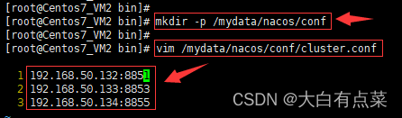 2、先创建目录 mkdir -p /mydata/nacos/conf ，再新建 cluster.conf 并填入Nacos Server 集群的服务器IP和端口号