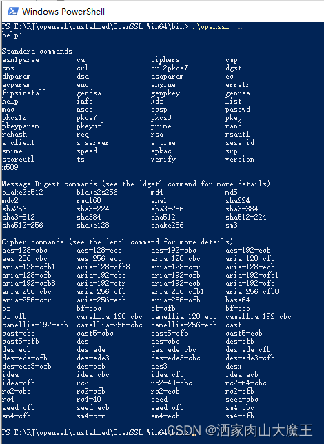 使用openssl命令行产生密钥对、签发证书[详细]-CSDN博客