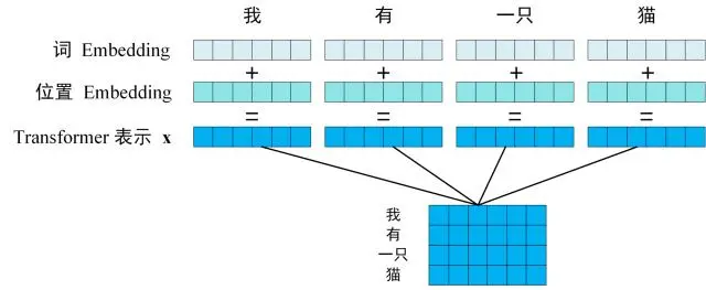 Transformer 的输入表示