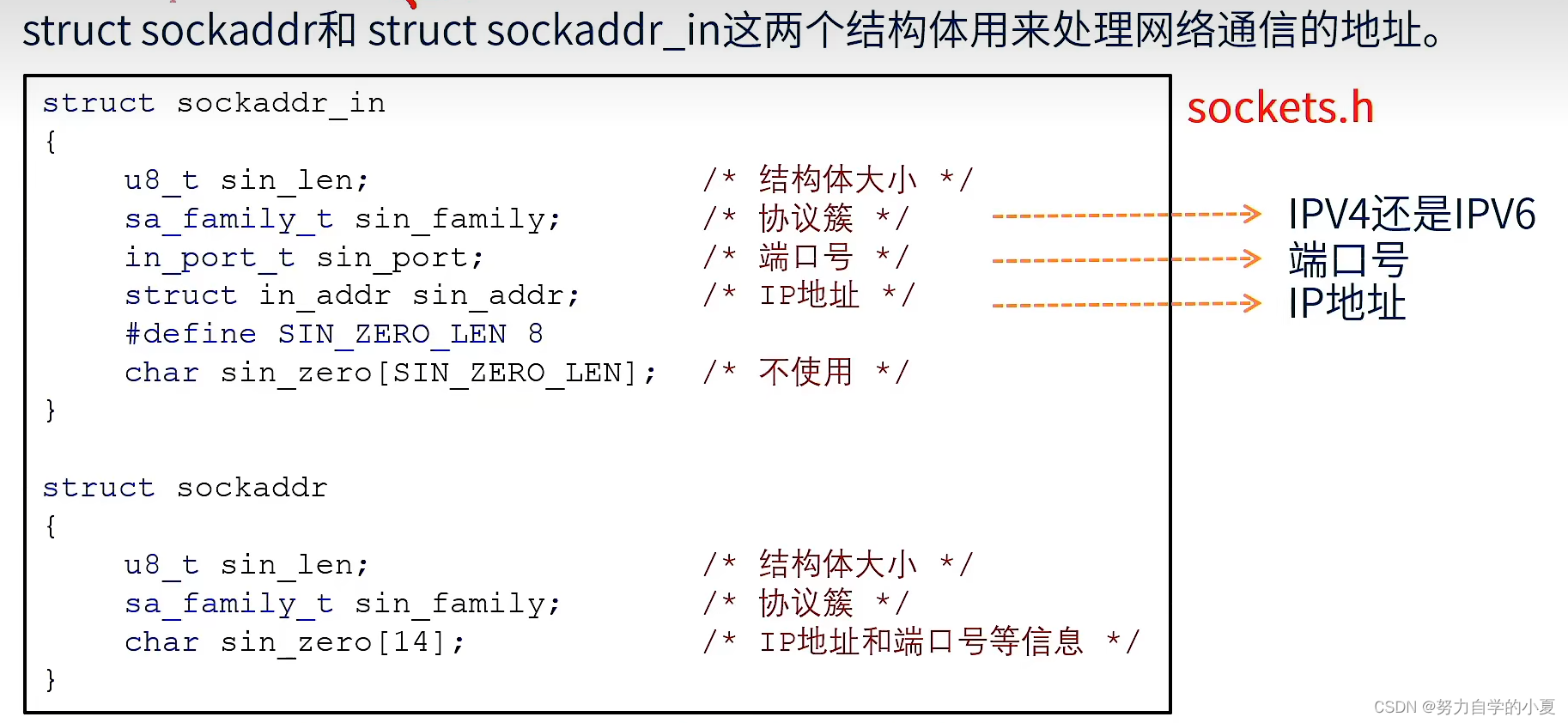 Socket结构体示意图