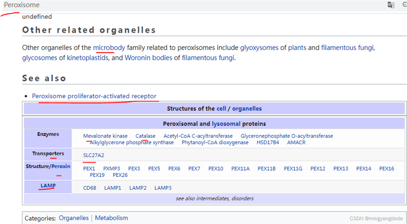 CD36 ； + Lectin；