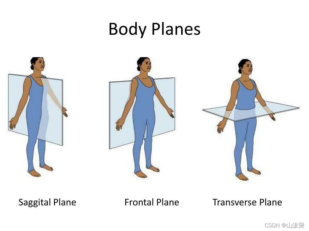 frontal Plane coronal Plane transverse Plane sagittal Frontal Plane coronal Plane transverse Plane sagittal