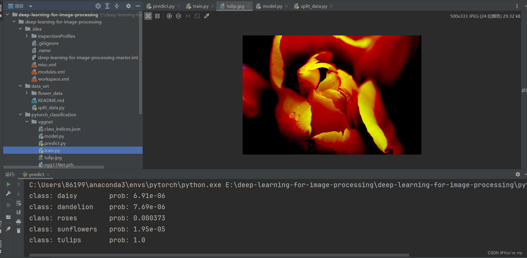 深度学习花的分类识别_深度学习花卉识别-CSDN博客