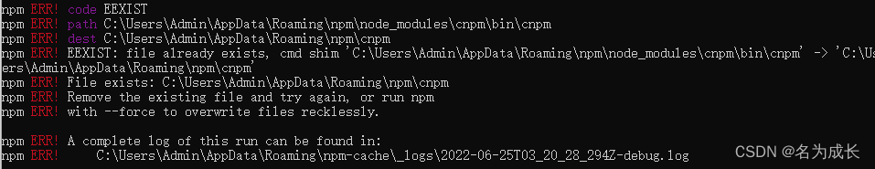 npm install