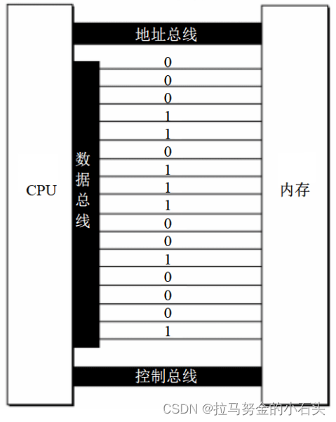 16位数据总线上传送的信息
