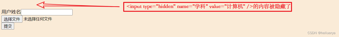  file控件与input标签的属性type=“hidden“标签