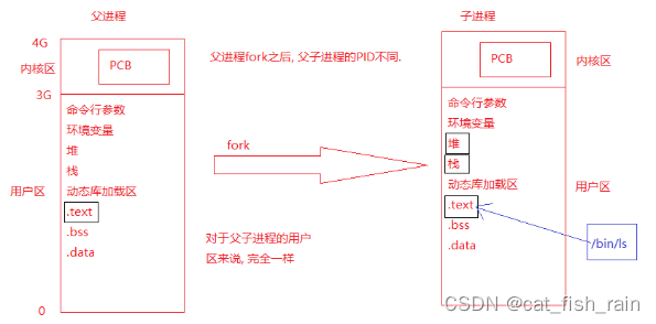 linux系统编程重点复习--进程的控制