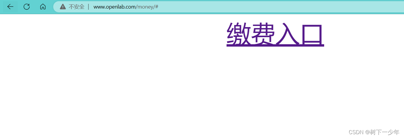 Linux搭建web网站服务练习，基于IP/端口/域名访问网站，搭建虚拟用户控制的网站，配置https加密访问