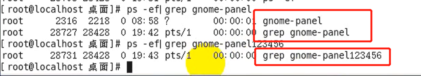 图片[2]-Linux中 ps -ef 命令详解-云言博客