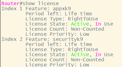 Cisco1100 lic激活+采用U盘方式升级版本