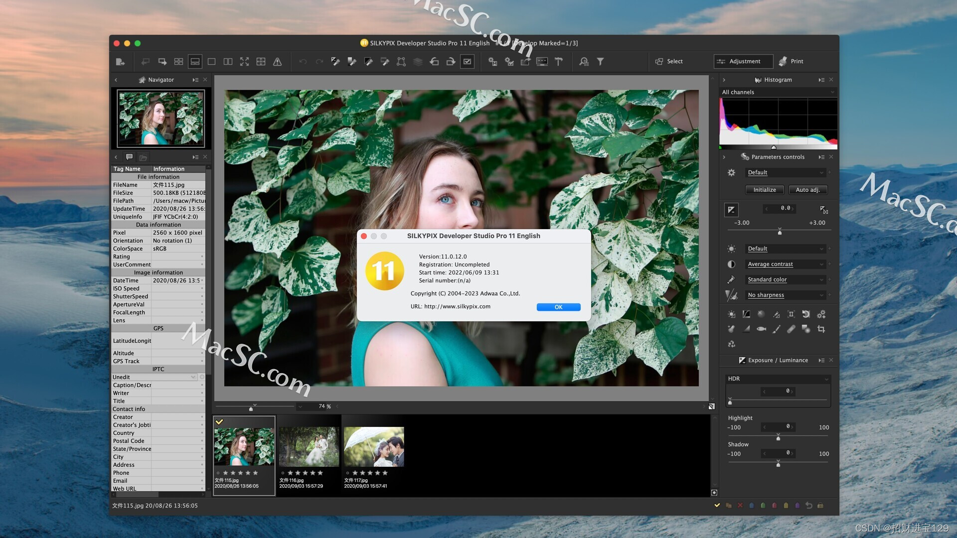 SILKYPIX Developer Studio Pro 11E for Mac: 掌握数码照片处理的黄金标准