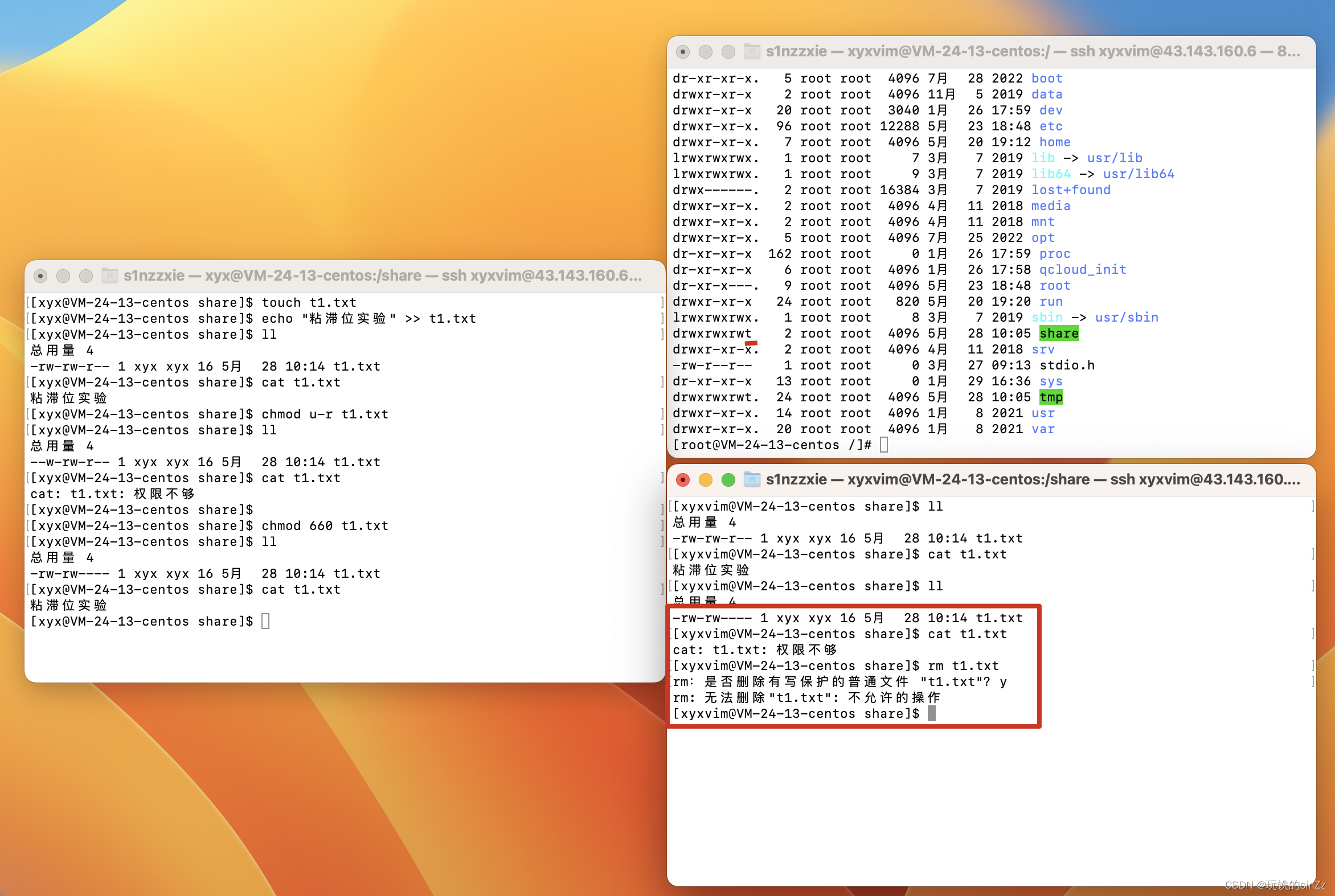 Linux系统编程学习 NO.5 ——shell命令行的概念以及原理、权限的概念