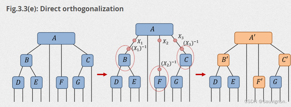 Tensor Contraction (1) : Decompositions, Gauge Freedom, Canonical Forms ...