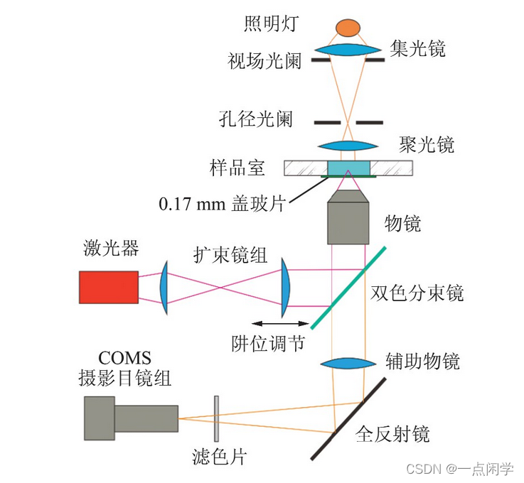 利用单分子技术进行生物研究--光镊在生命科学中的应用_机械镊子起源-CSDN博客