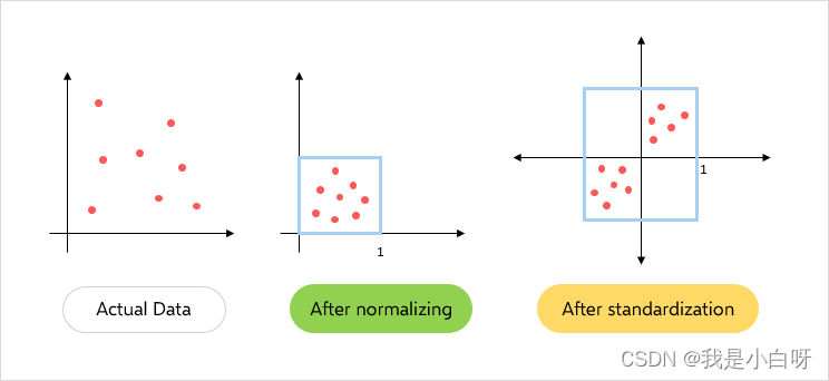 standardization