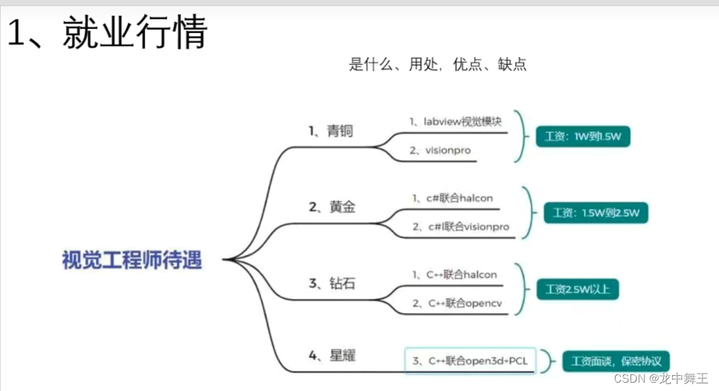 Halcon (0):C# 联合Halcon方式简介和就业市场说明