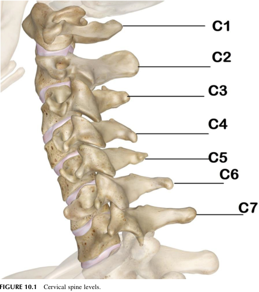 智能颈椎带:基于物联网和人工智能的颈部疼痛和颈椎病治疗系统