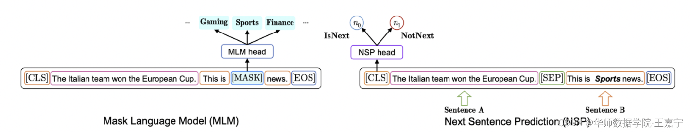 论文解读:NSP-BERT: A Prompt-based Zero-Shot Learner Through an Original Pre ...