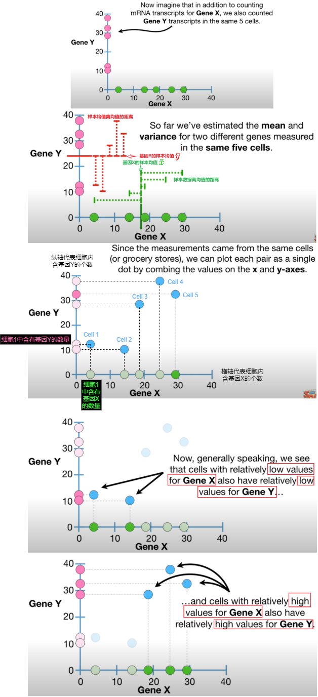 协方差covariance_协方差和协方差矩阵