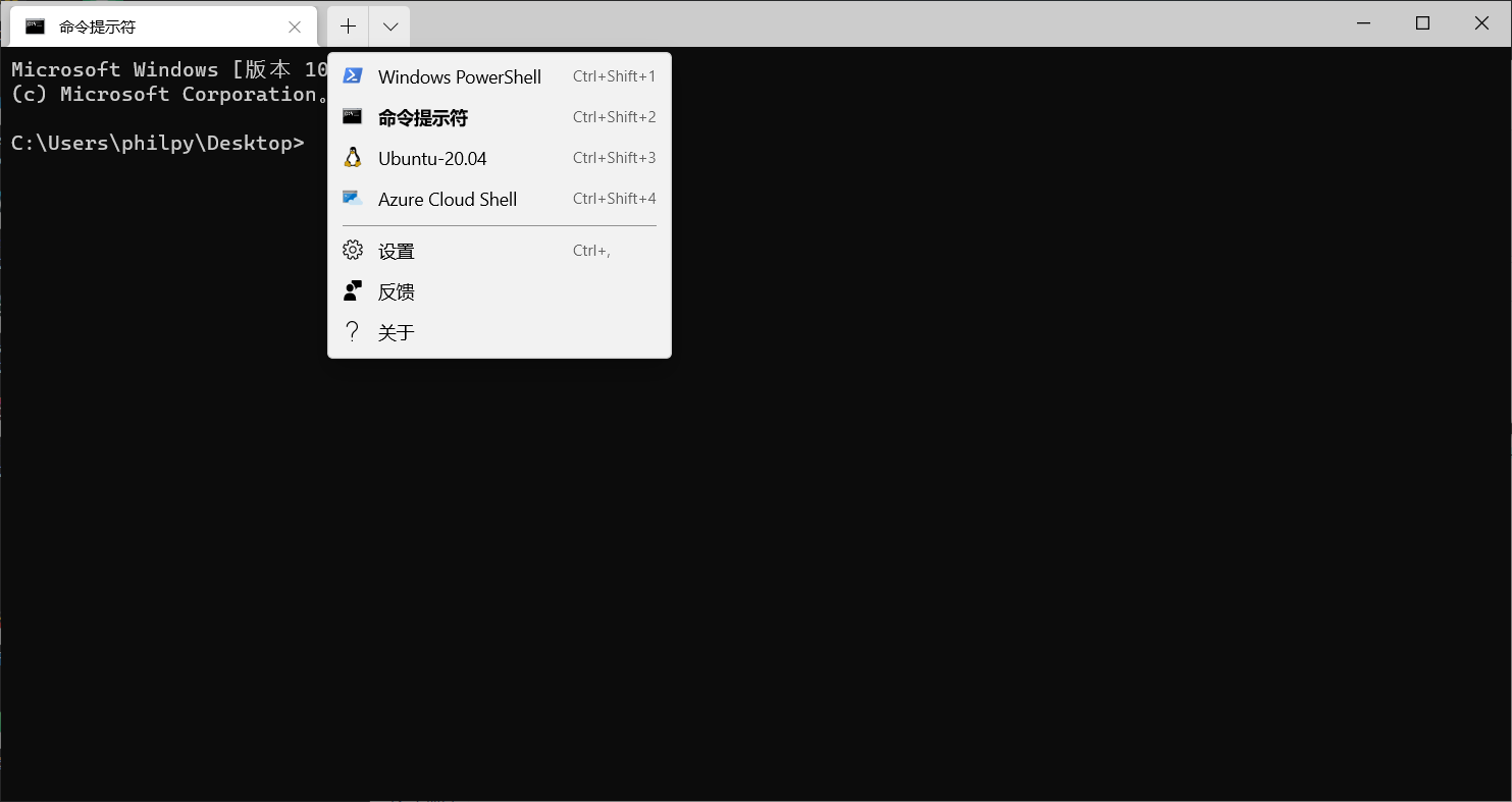 Win10通过wsl2使用Ubuntu以及GUI的安装_wsl Ubuntu Gui-CSDN博客