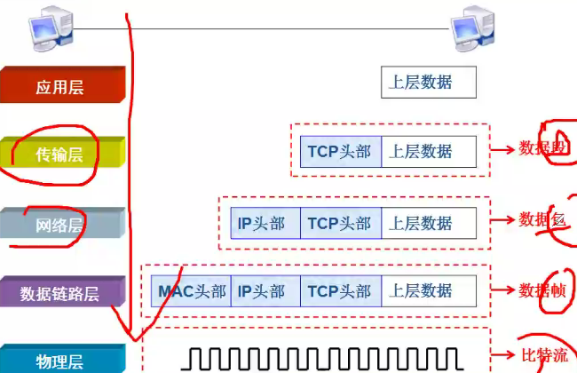 计算机网络的super super easy 教程 | 基础 及 数据链路层