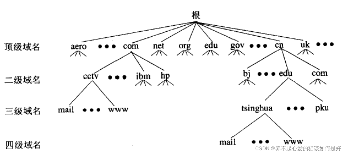 浏览器输入URL回车后会发生什么？（从DNS角度解读）