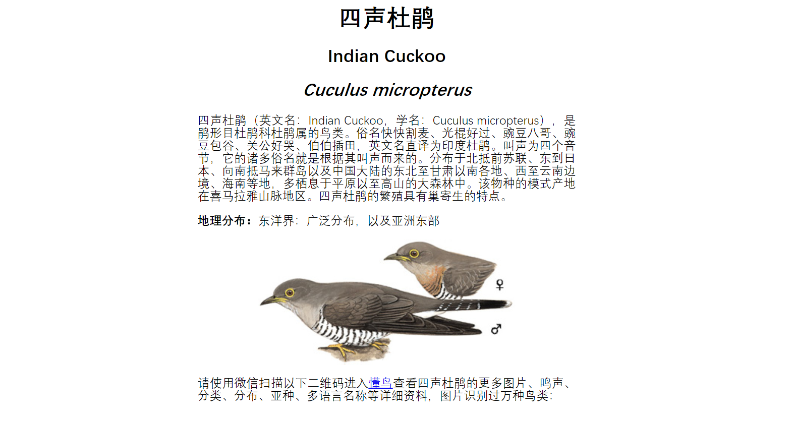 008 懂鸟 图片识别全球鸟类 并介绍鸟类信息 Onet一站的博客 Csdn博客 008 懂鸟 图片识别全球鸟类 并介绍鸟类信息 Onet一站的博客 Csdn博客