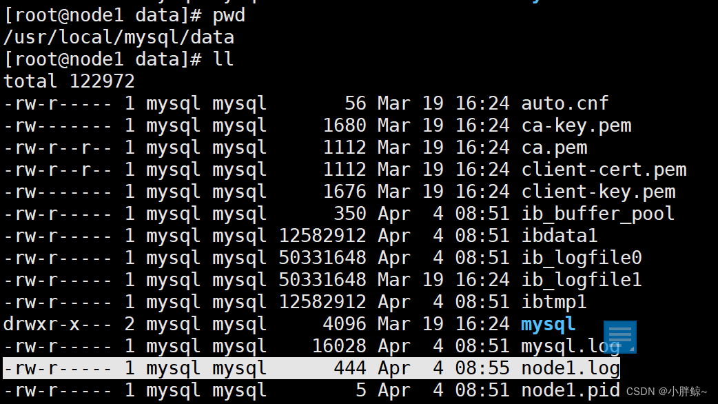【数据库运维】环境准备，mysql日志管理